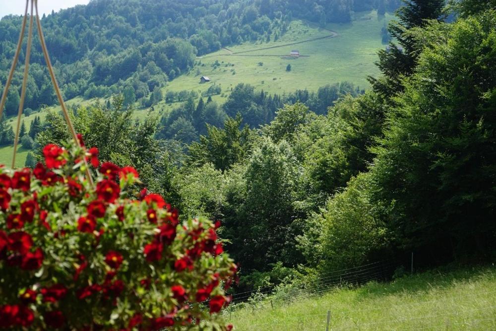 Gorczanskie Siedlisko Ochotnica Gorna Bagian luar foto